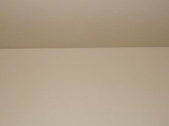 Inside Wall on West Side of House